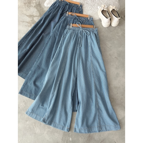 Kendal Stripe Denim Pants